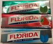 Chewing-Gum Florida 5 Tablettes (Chlorophylle, Fraise et Menthe fraiche)